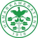 HamKam escudo